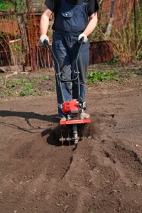 Homestead Business Success Stories Image